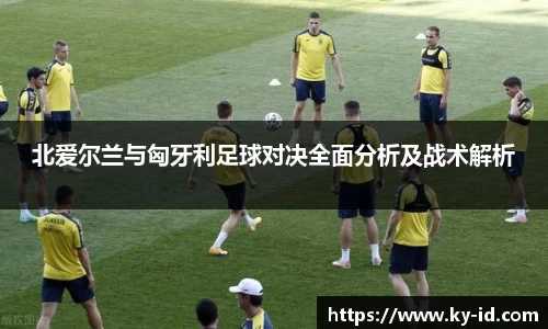 北爱尔兰与匈牙利足球对决全面分析及战术解析